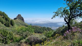 2023-04-GranCan-Caldera_los_Marteles-12.jpg